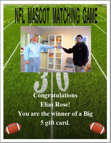 NFL Mascot Matching Game winner